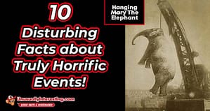 Disturbing Facts about Truly Horrific Events